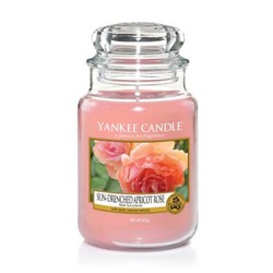 Jarre Rose succulente Yankee Candle "Kandelak"