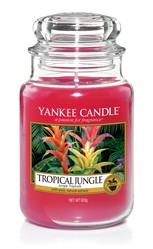 Jarre Tropical Jungle Yankee Candle "Kandelak"