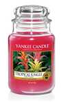 Jarre Tropical Jungle Yankee Candle &quot;Kandelak&quot;