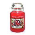 Jarre Red Raspberry Yankee Candle &quot;Kandelak&quot;